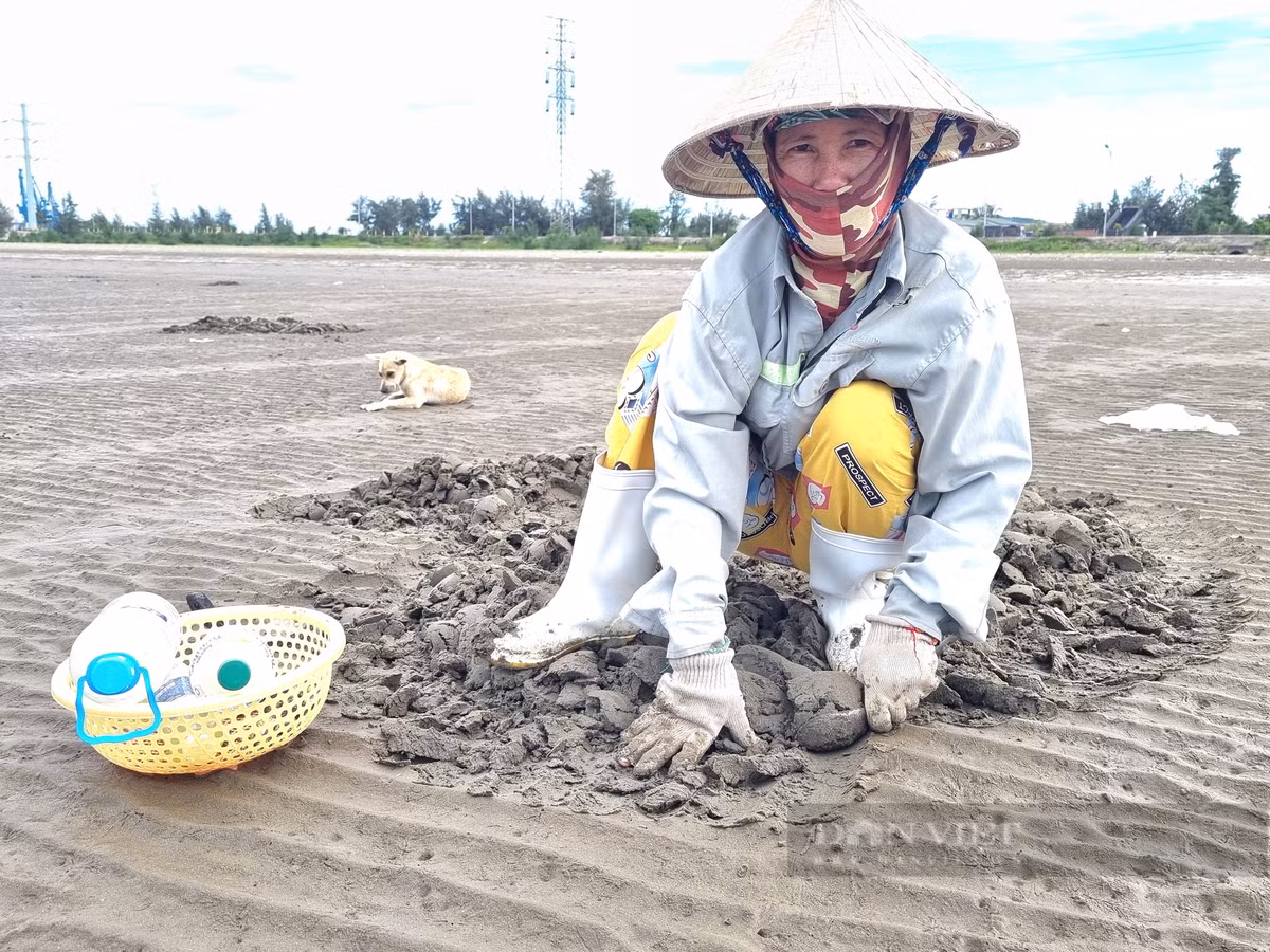 Cao con ngao nhot, nguoi dan vung bien Thanh Hoa co ngay tien tuoi-Hinh-8