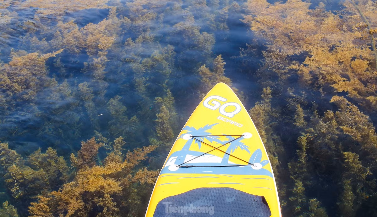 Hiện nay, xã Nhơn Hải tiến hành khoanh vùng để bảo vệ, mục đích để bảo tồn các loài thủy sản ven bờ. Ngoài việc quản lý, bảo vệ còn có các hoạt động du lịch gắn với hệ sinh thái này. Tùy vào quy định cụ thể từng vùng (vùng đệm và vùng lõi) mà du khách có thể trải nghiệm các hoạt động như lặn ngắm san hô bằng kính, tắm biển, chèo sup… Ảnh: Trương Định.