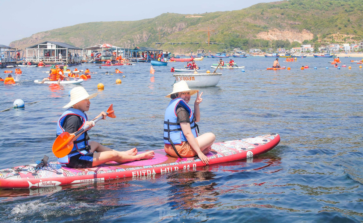 Một thành viên của Tổ bảo vệ rạn san hô xã Nhơn Hải đang quản lý, hướng dẫn du khách trải nghiệm lặn ngắm san hô, rong mơ - cho biết, cao điểm ngày cuối tuần ước khoảng 500 - 600 lượt khách đến tham quan, du lịch. Ảnh: Trương Định.