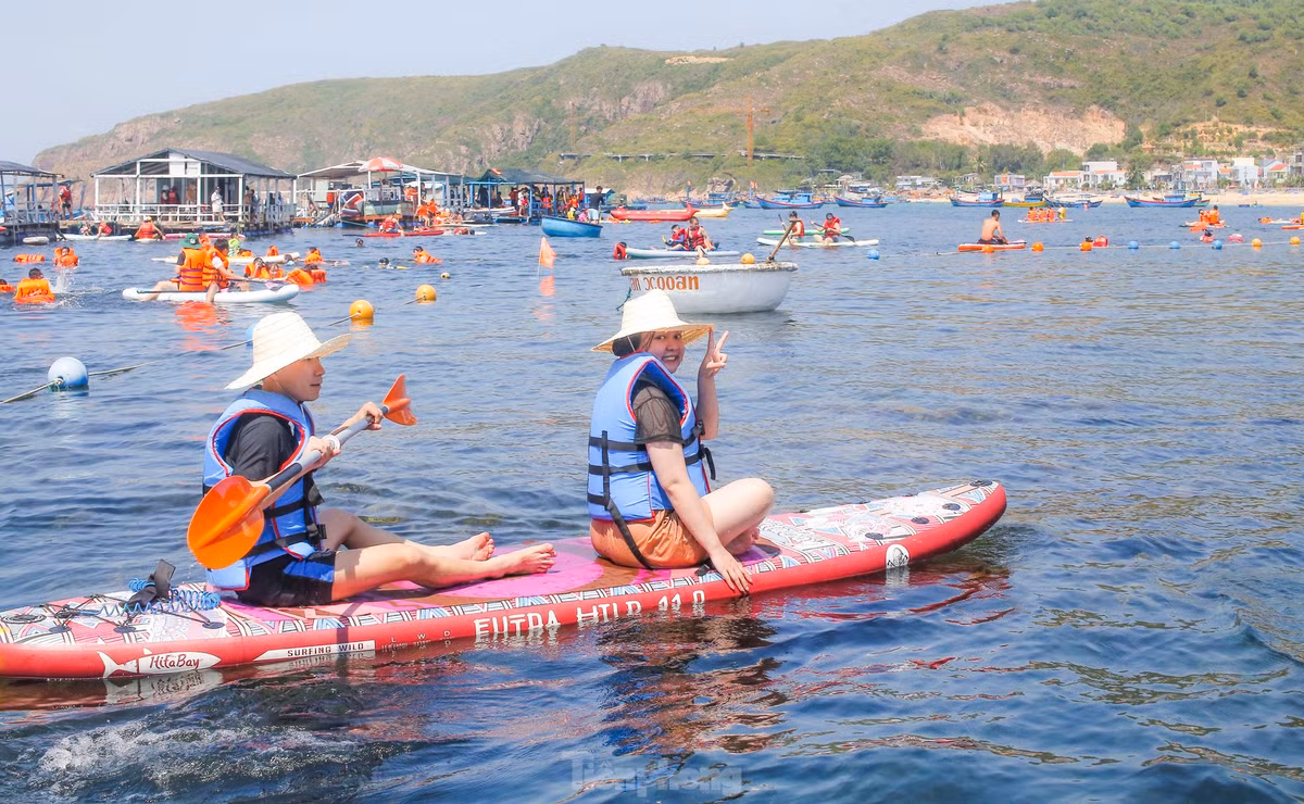 Một thành viên của Tổ bảo vệ rạn san hô xã Nhơn Hải đang quản lý, hướng dẫn du khách trải nghiệm lặn ngắm san hô, rong mơ - cho biết, cao điểm ngày cuối tuần ước khoảng 500 - 600 lượt khách đến tham quan, du lịch. Ảnh: Trương Định.