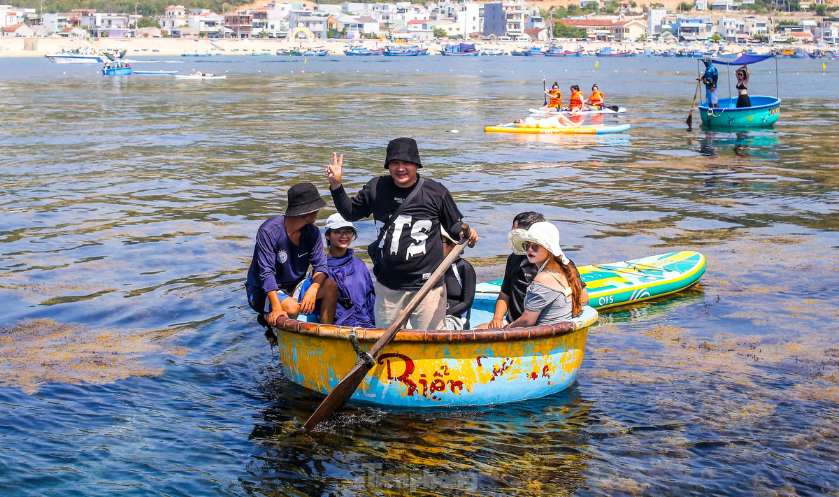 Theo ghi nhận của Tiền Phong, du khách đến Hòn Khô để chiêm ngưỡng vẻ đẹp thiên nhiên ban tặng. Những thông tin, hình ảnh đẹp về “cánh đồng vàng” trên mặt biển được chia sẻ trên mạng xã hội khiến ai nấy háo hức, khi du lịch đến Bình Định thời điểm này không thể bỏ lỡ cơ hội đến check-in nơi đây. Ảnh: Trương Định.