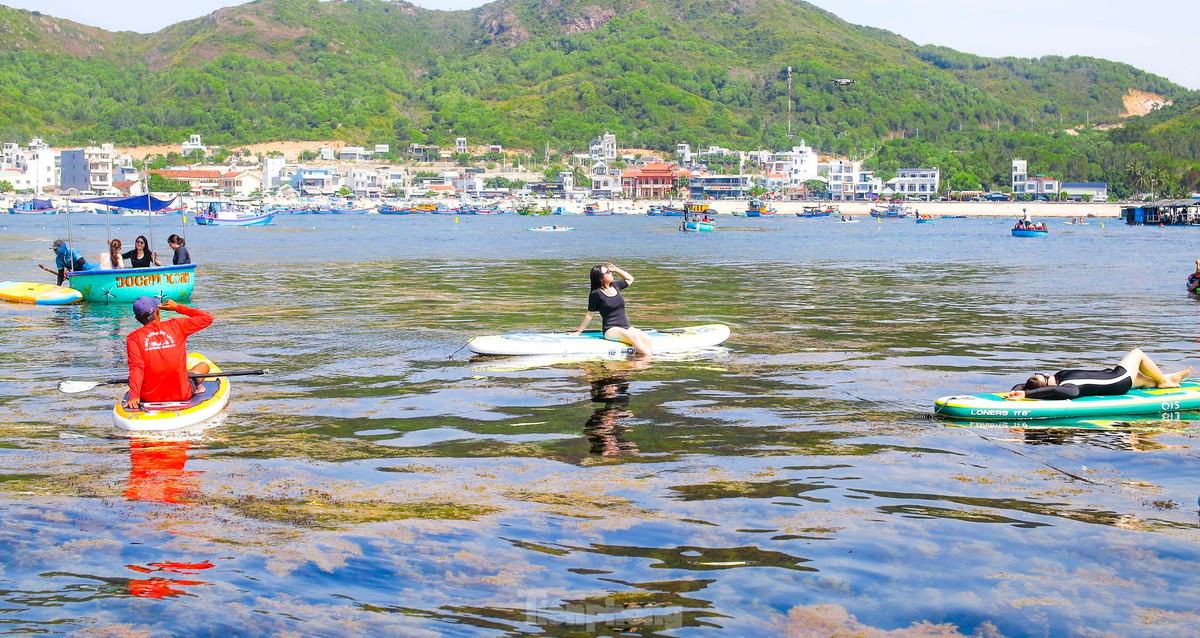 Chị Hoa (44 tuổi), du khách đến từ Bình Dương đang có chuyến du lịch cùng gia đình ở Bình Định chia sẻ rất thích thú khi được ngắm nhìn vẻ đẹp hoang sơ của Hòn Khô. Đặc biệt, ngày đầu hè, được hòa mình vào làn nước biển trong xanh, tự tay chèo sup ngắm nhìn cánh đồng rong mơ đem lại một cảm giác rất tuyệt vời. Ảnh: Trương Định.