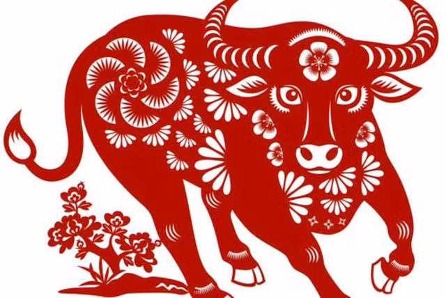 Đặc biệt, người làm kinh tế nên kiểm chứng rõ ràng thông tin trước khi đưa ra bất cứ quyết định nào, đừng lơ là vì thành công nhất thời mà nghe theo lời rủ rê, lôi kéo đầu tư của những người không đáng tin cậy.