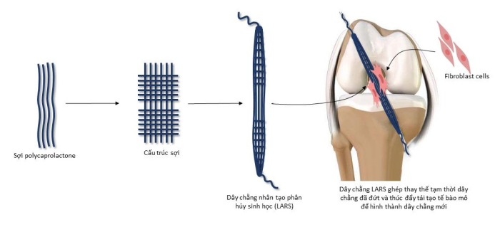 TS. Nguyen Ngoc Tuan: Sang tao tren nhung vat lieu sinh hoc-Hinh-2