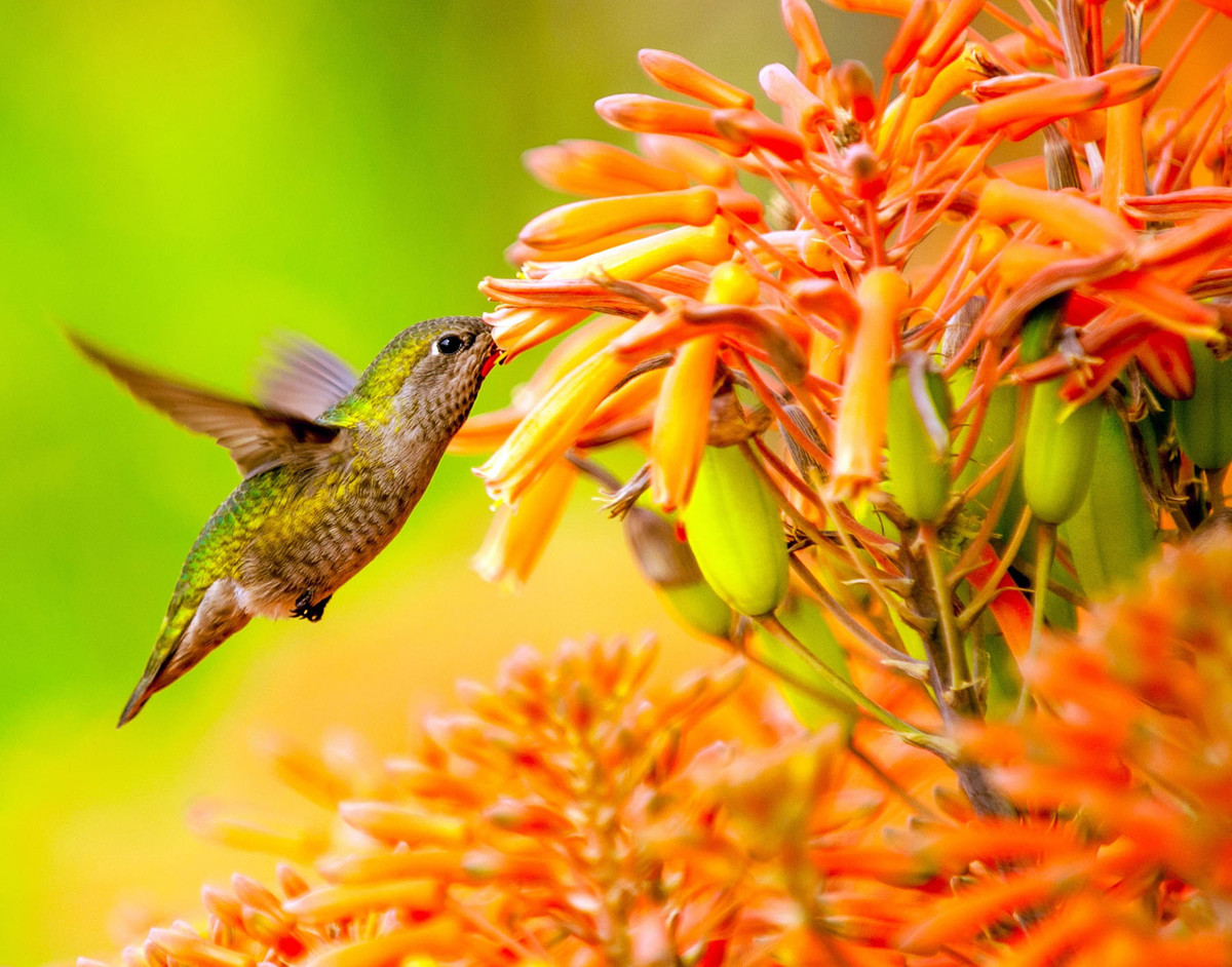 Ai sinh tháng Âm lịch này phúc lộc tràn đầy trong năm 2024 - Hình 3 Ai sinh thang Am lich nay phuc loc tran day trong nam 2024-Hinh-3
