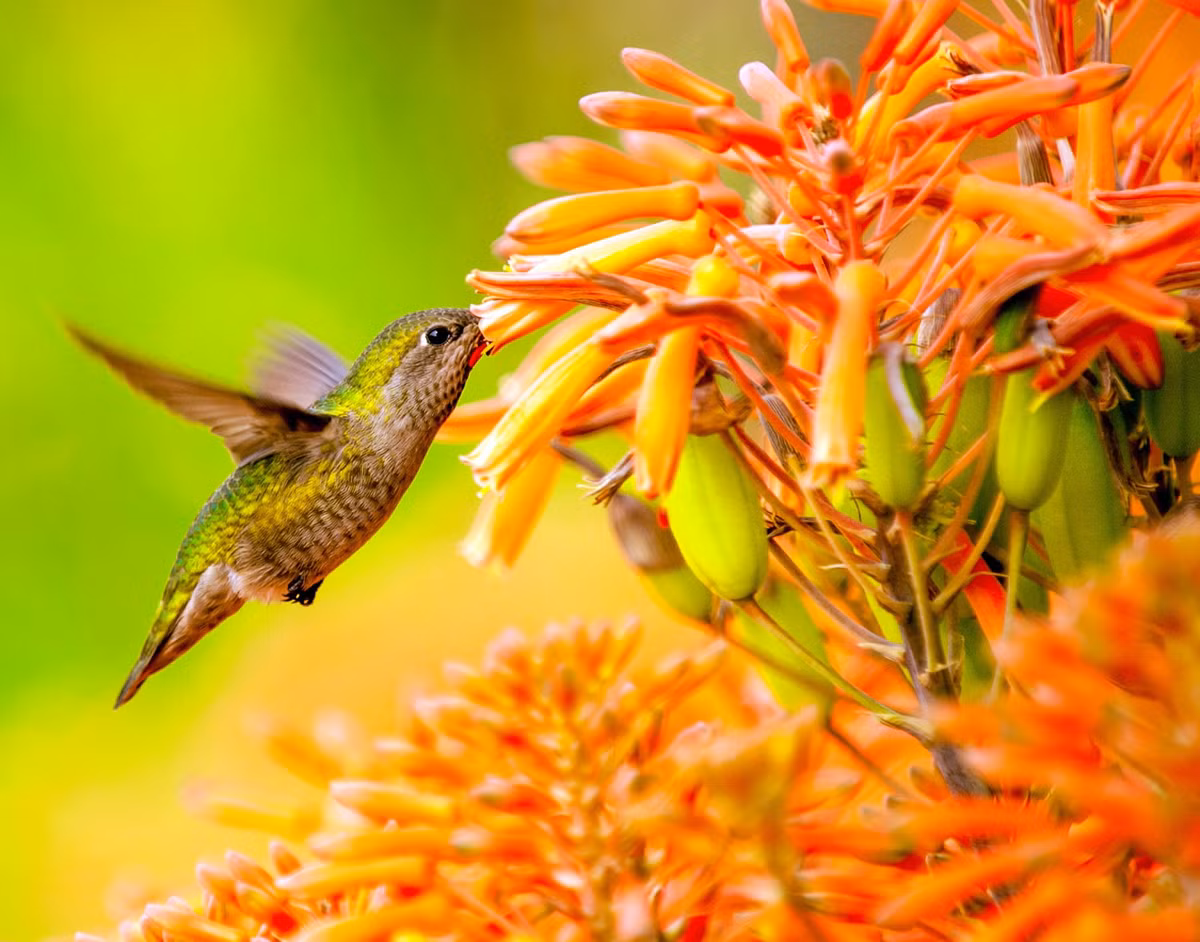 Ai sinh thang Am lich nay phuc loc tran day trong nam 2024-Hinh-3