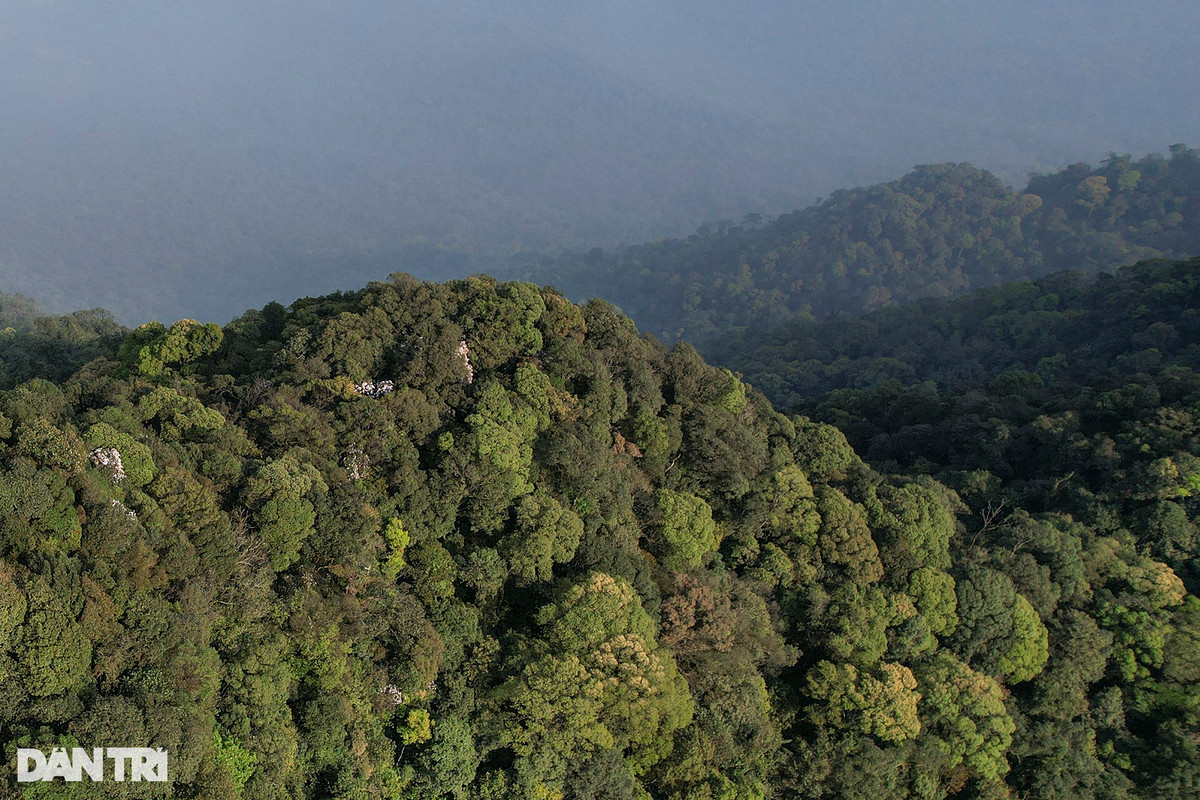 Vườn quốc gia Ba Vì với 3 kiểu rừng: Rừng kín thường xanh mưa ẩm nhiệt đới; rừng kín thường xanh hỗn giao cây lá rộng và cây lá kim nhiệt đới; kiểu rừng lá rộng thường xanh mưa ẩm nhiệt đới trên núi thấp.
