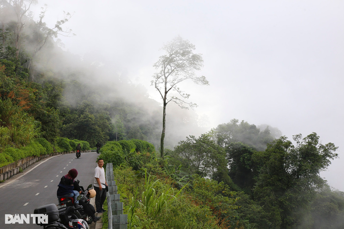 Khí hậu Ba Vì điển hình bởi sương mù bao phủ gần như quanh năm. Từ độ cao 300m, núi Ba Vì thường được bao bọc bởi lớp sương mỏng như khói. Từ cao độ 400m, khí hậu giống như Đà Lạt thu nhỏ, nơi có đồi thông gợi cảm với nét lãng mạn mơ màng. Từ độ cao 600m, ngay cả khi có nắng, sương vẫn bảng lảng trong cây, lá.