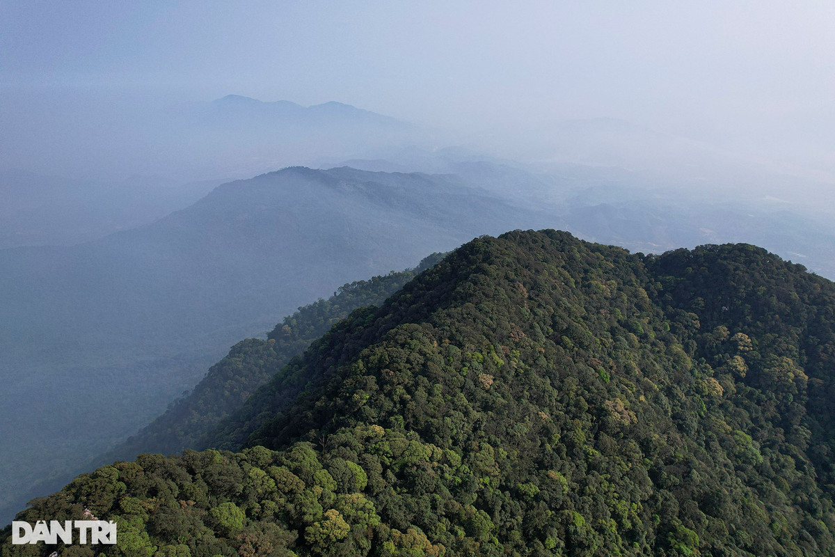 Núi Ba Vì với 2 đai cao nên hệ thực vật nơi đây phong phú, đa dạng. Nơi đây đã ghi nhận 2.181 loài thực vật bậc cao thuộc 207 họ, 958 chi. Nhiều loài cây quý hiếm như: Bách xanh (Calocedrus marcrolepis), thông tre (Podocarpus nerrifolius), sến mật, giổi lá bạc, quyết thân gỗ, bát giác liên... Ở Vườn quốc gia cũng đã thống kê được 896 loài cây thuốc.