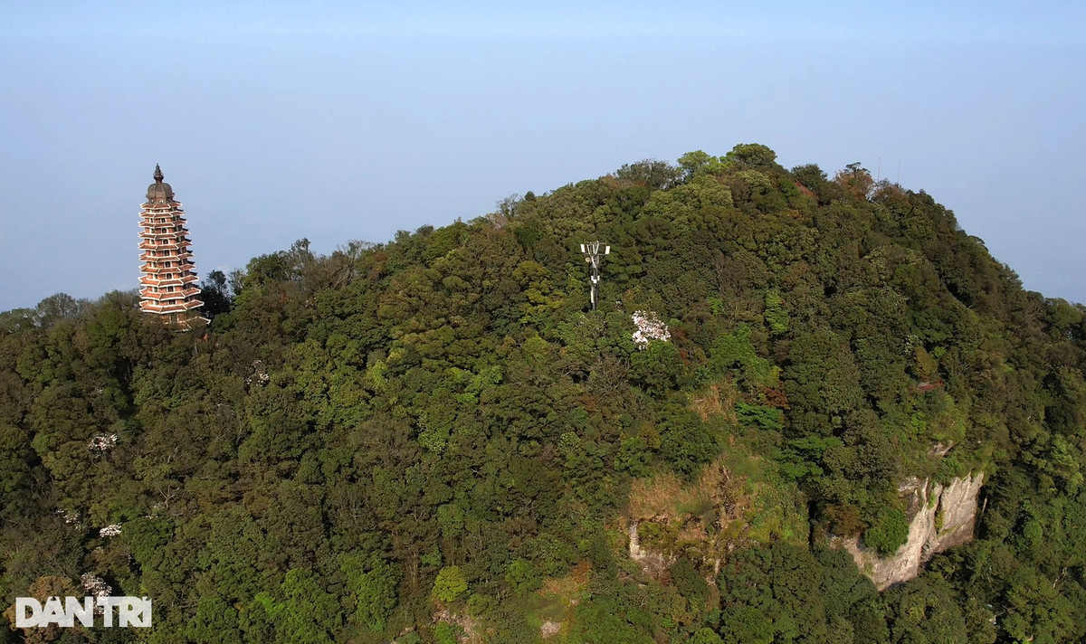 Đỉnh Vua cao 1.296m so với mực nước biển, nơi đặt đền thờ Bác Hồ và tòa bảo tháp 13 tầng.