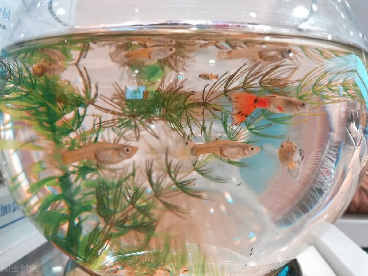 Dù nghèo cũng đừng giữ 4 thứ này, vứt đi càng sớm càng tốt - Hình 6 Du ngheo cung dung giu 4 thu nay, vut di cang som cang tot-Hinh-6