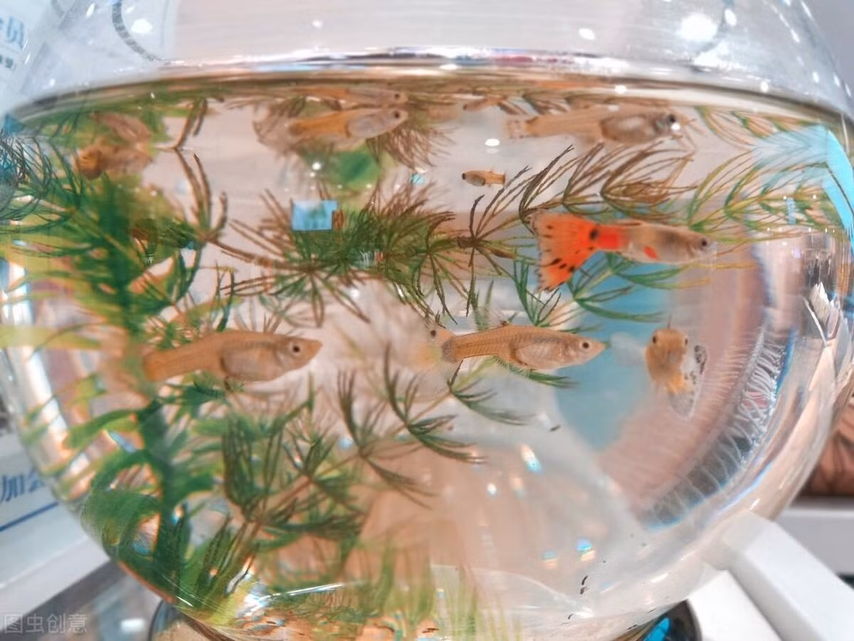 Du ngheo cung dung giu 4 thu nay, vut di cang som cang tot-Hinh-6