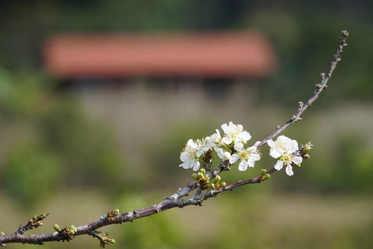 Theo anh Vũ, sang khoảng tháng 5-6, Đồng Lâm sẽ vào mùa mưa, cả thảo nguyên như chìm trong biển nước, thu hút du khách đến chèo thuyền kayak, bè gỗ, câu cá… Ảnh: Hoàng Vũ