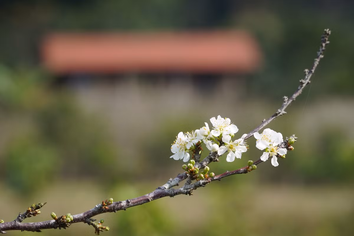 Theo anh Vũ, sang khoảng tháng 5-6, Đồng Lâm sẽ vào mùa mưa, cả thảo nguyên như chìm trong biển nước, thu hút du khách đến chèo thuyền kayak, bè gỗ, câu cá… Ảnh: Hoàng Vũ