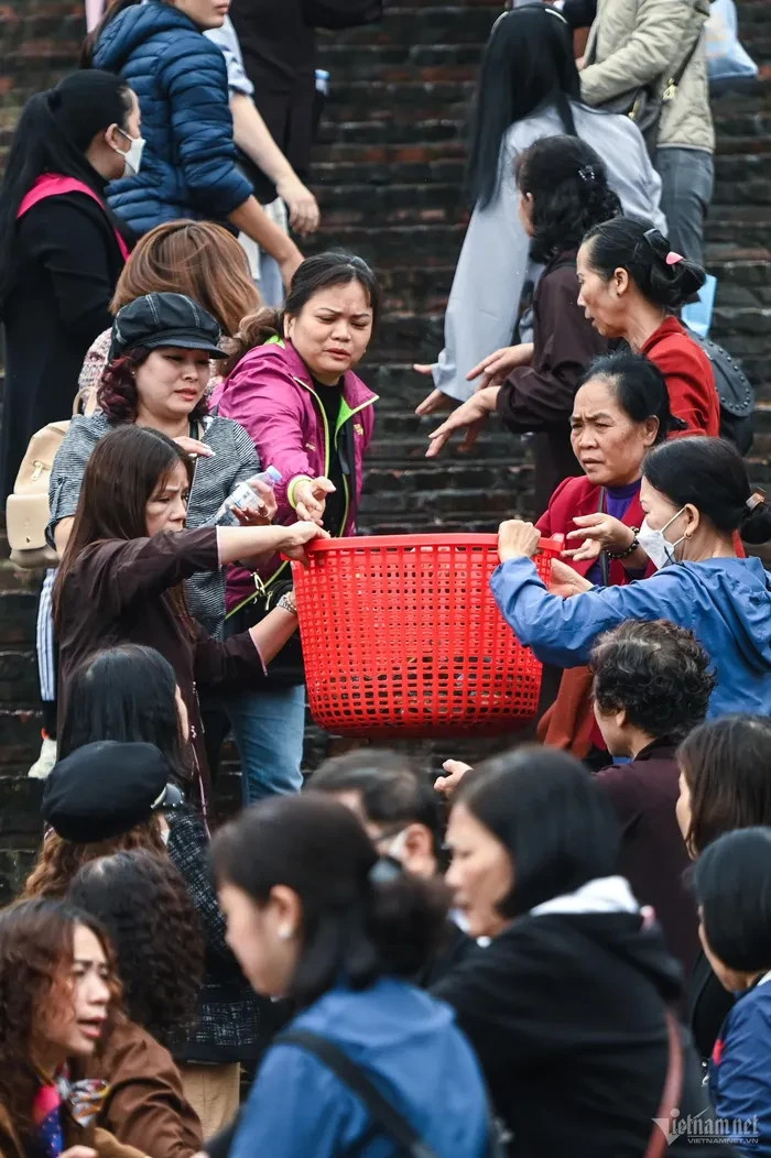 br/> Phật tử đứng nối tiếp nhau thành hai hàng ở các bậc thang để tiện vận chuyển cá.