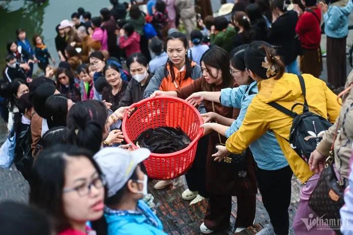 8h30, các phật tử di chuyển ra khu vực đình Bát Tràng nằm ven sông Hồng để thực hiện nghi thức phóng sinh đầu năm. Những giỏ cá bắt đầu được chuyển từ trên ô tô xuống các bậc thềm ra tới bờ sông.