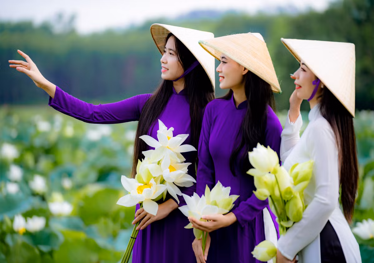 Thiếu nữ trong tà áo dài truyền thống chụp ảnh bên đầm sen trắng nở rộ.