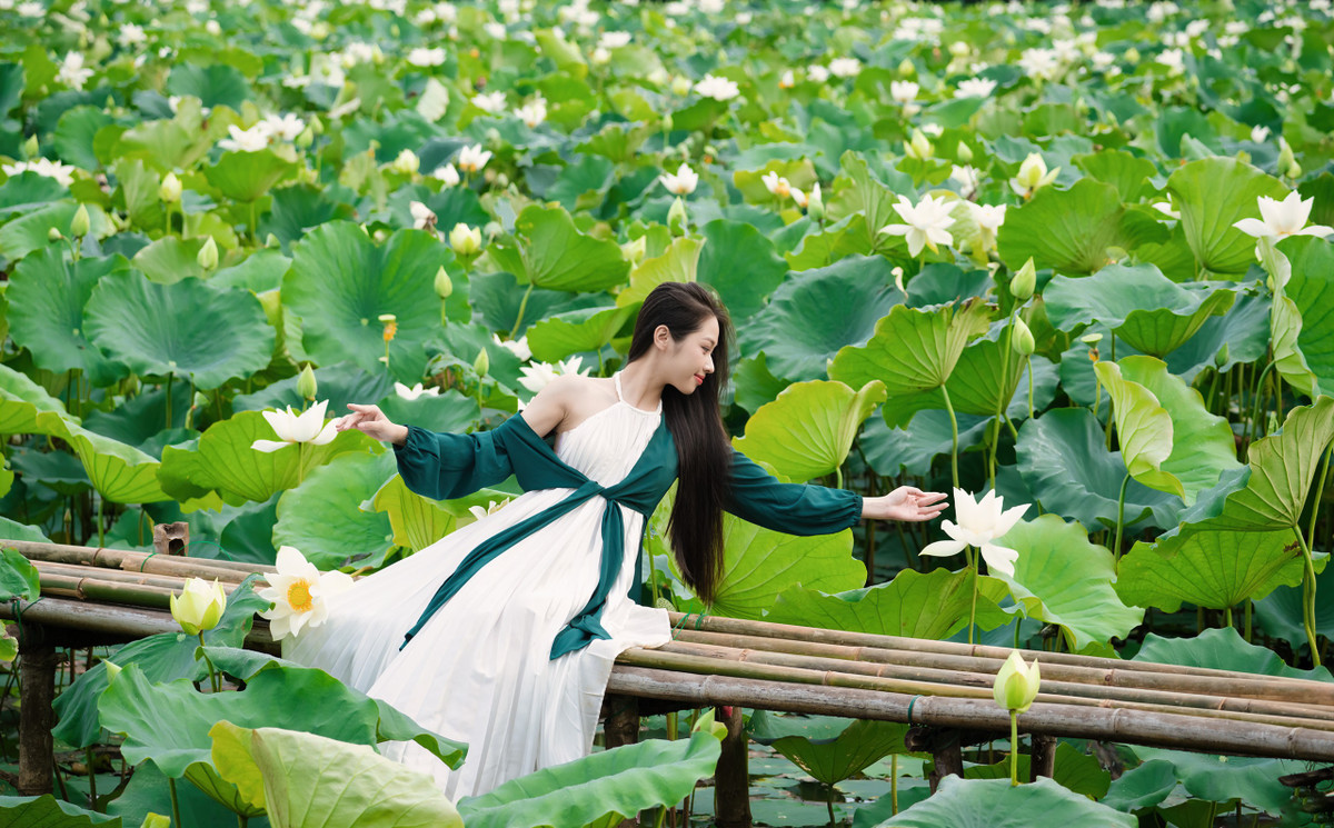Thiếu nữ tạo dáng bên đầm sen trắng mùa hạ. Ảnh Đình Thắng