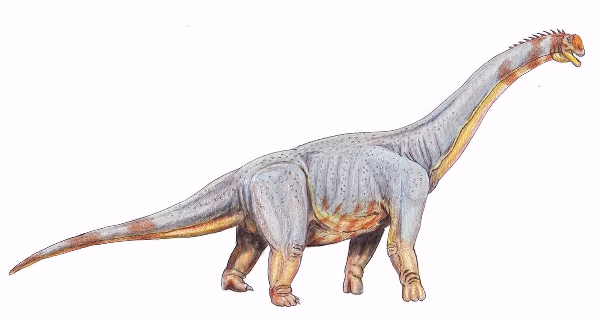 8 loai khung long lon nhat Trai dat thoi Tien su-Hinh-4