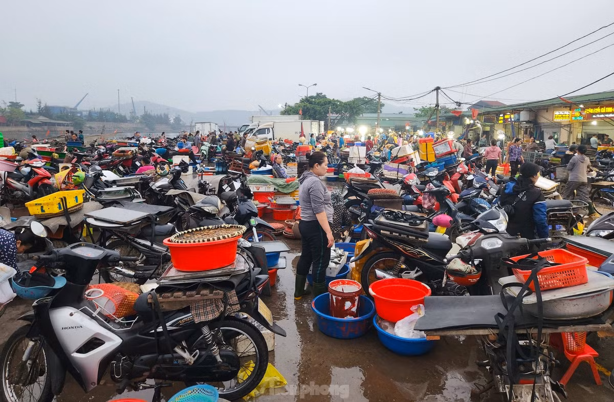 Trên bờ là khu chợ kinh doanh các mặt hàng hải sản. Bến cá và chợ được hình thành từ cả trăm năm trước. Đây được xem là chợ hải sản lớn nhất trong vùng. Tiểu thương khắp nhiều nơi về đây mua hàng để bán lại cho người dân ở các khu chợ gần xa trên khắp các huyện, thành, thị.