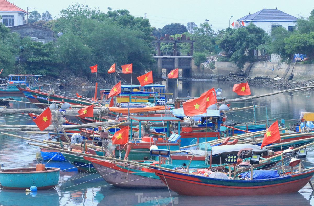 Từ 4h sáng đến 7h sáng hàng ngày, các tàu thuyền liên tục cập bến với khoang đầy ắp tôm cá sau một đêm dài ra khơi đánh bắt hải sản.