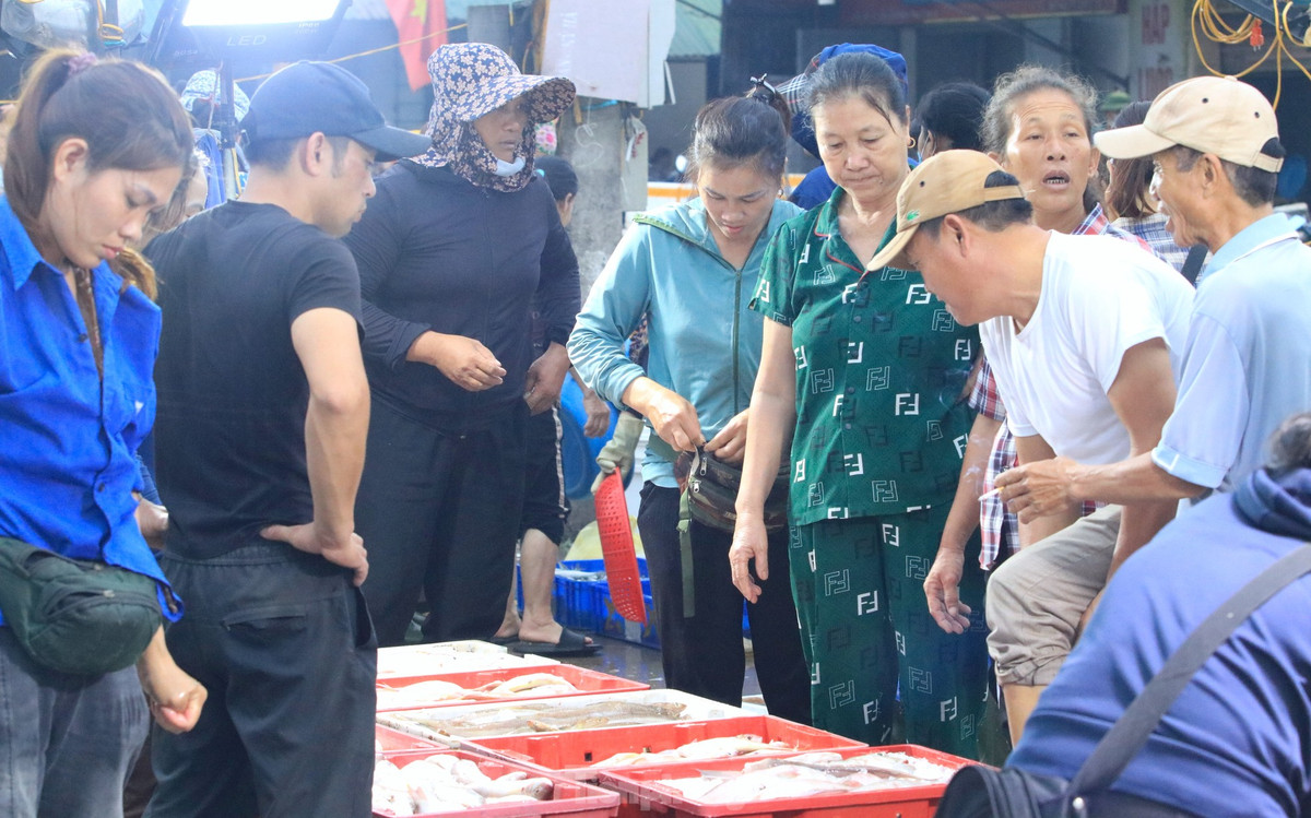 Cảnh nhộn nhịp, tấp nập tại chợ bến cá Nghi Thủy mỗi lúc bình minh lên.