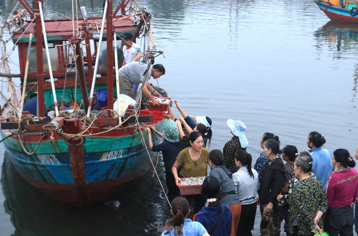 Trên bờ, các ngư dân, tiểu thương đã ngồi chờ sẵn. Mỗi khi tàu thuyền về, người dân lại lội ra để nhận những giỏ nhựa đầy tôm, cá...