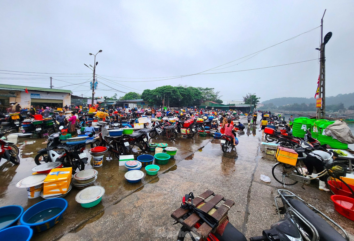 Bến cá Nghi Thủy là nguồn cung cấp hải sản lớn cho người dân cũng như các cơ sở kinh doanh dịch vụ ăn uống trên địa bàn thị xã Cửa Lò và các chợ huyện, thành, thị lân cận.