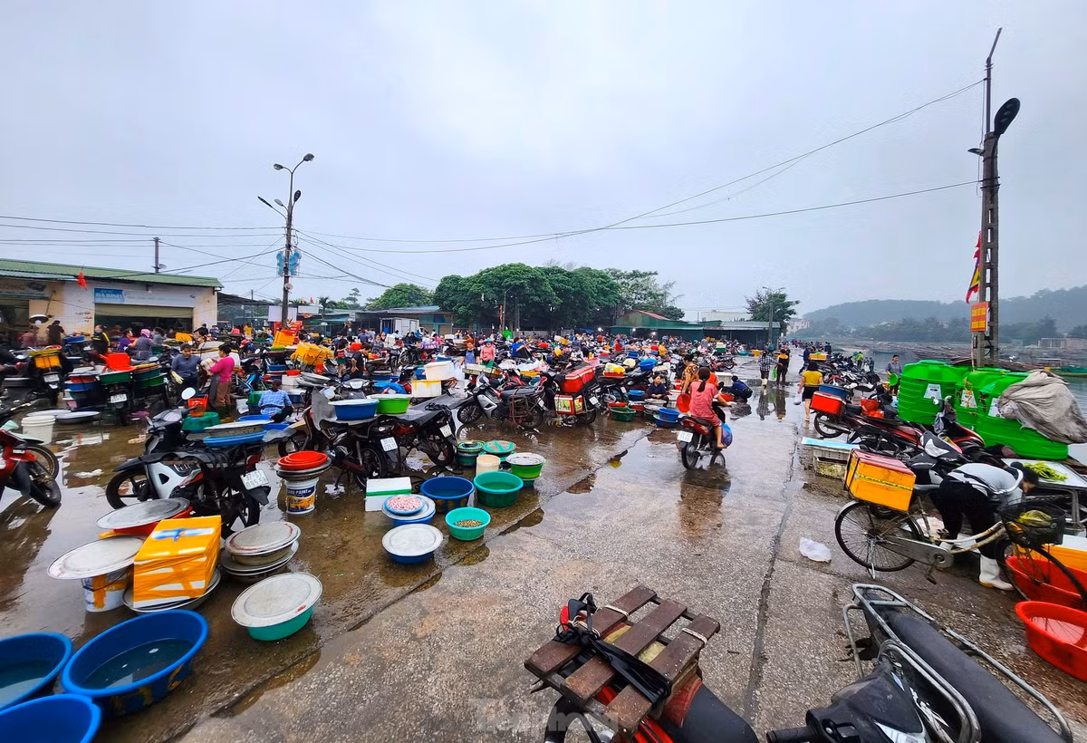 Bến cá Nghi Thủy là nguồn cung cấp hải sản lớn cho người dân cũng như các cơ sở kinh doanh dịch vụ ăn uống trên địa bàn thị xã Cửa Lò và các chợ huyện, thành, thị lân cận.