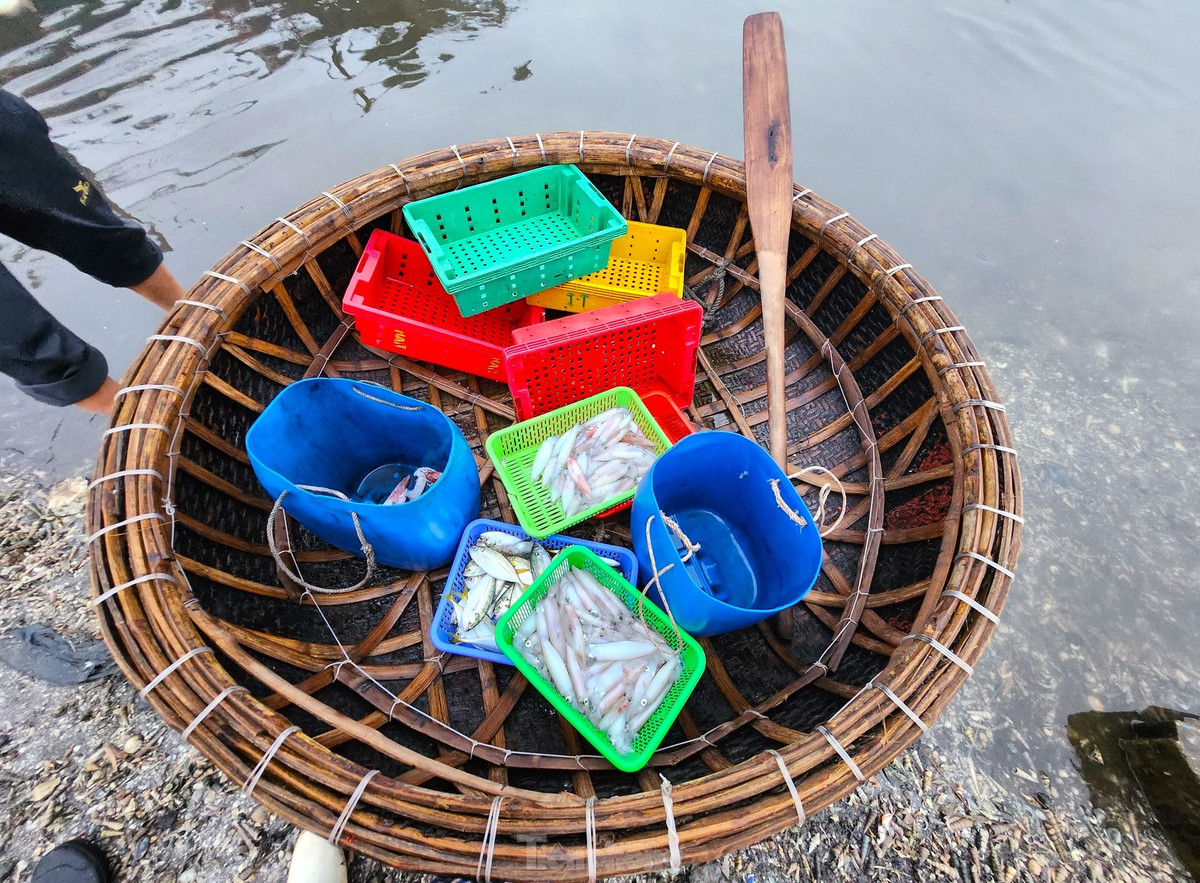 Không chỉ những tàu thuyền lớn, nhiều ngư dân đi thuyền thúng câu mực, cá cũng đưa về bến để bán cho các tiểu thương sau một đêm ra khơi đánh bắt.