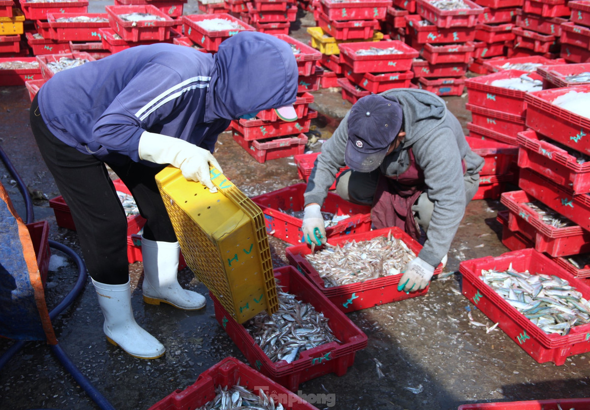 Tại bến cá Nghi Thủy, không chỉ có các tiểu thương mua bán mà còn có tổ đội chuyên bốc vác thuê. Mỗi khi các cơ sở đông lạnh đưa xe đến thu mua hải sản, tổ đội bốc vác thuê lại nhận để vận chuyển những giỏ hàng lên xe hay mang những giỏ đá lên để ướp lạnh hải sản.