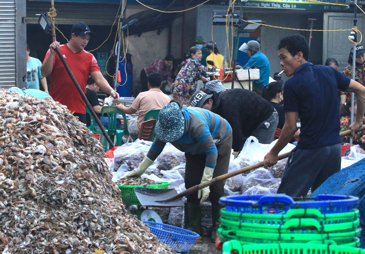 Những nhóm tổ bốc vác thuê thường có 6-7 người. Thông thường các tổ bốc vác sẽ nhận thuê khoán bốc vác hải sản với 1 tấn hàng sẽ nhận 600-700 nghìn đồng tiền thù lao. Tùy vào ngày hàng nhiều hay ít, các tổ bốc vác sẽ có nhiều hàng để làm và nhận được nhiều tiền thù lao hơn.