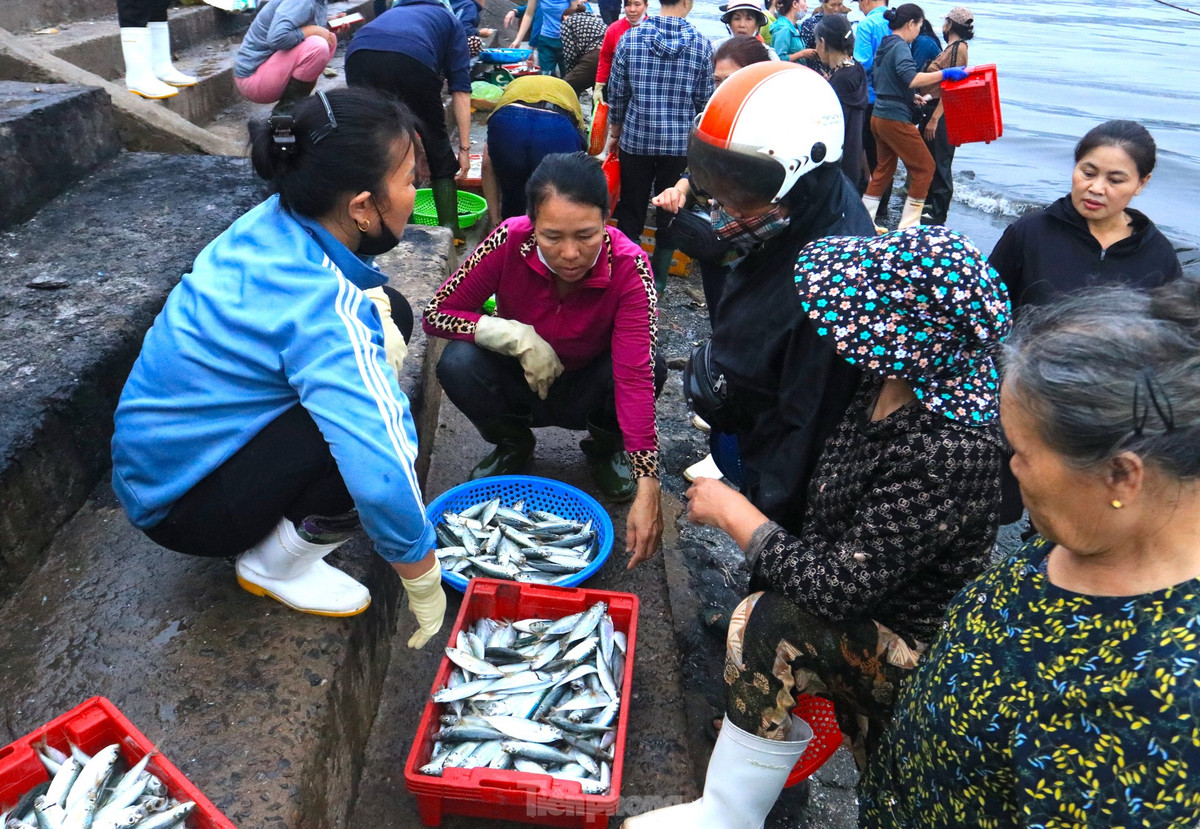 Hải sản ở bến cá Nghi Thủy rất đa dạng với nhiều loại như cá thu, cá bạc má, cá nục, tôm, cua, ghẹ. Những giỏ hải sản tươi rói được các tiểu thương chia phần nhau mua ngay tại bến.