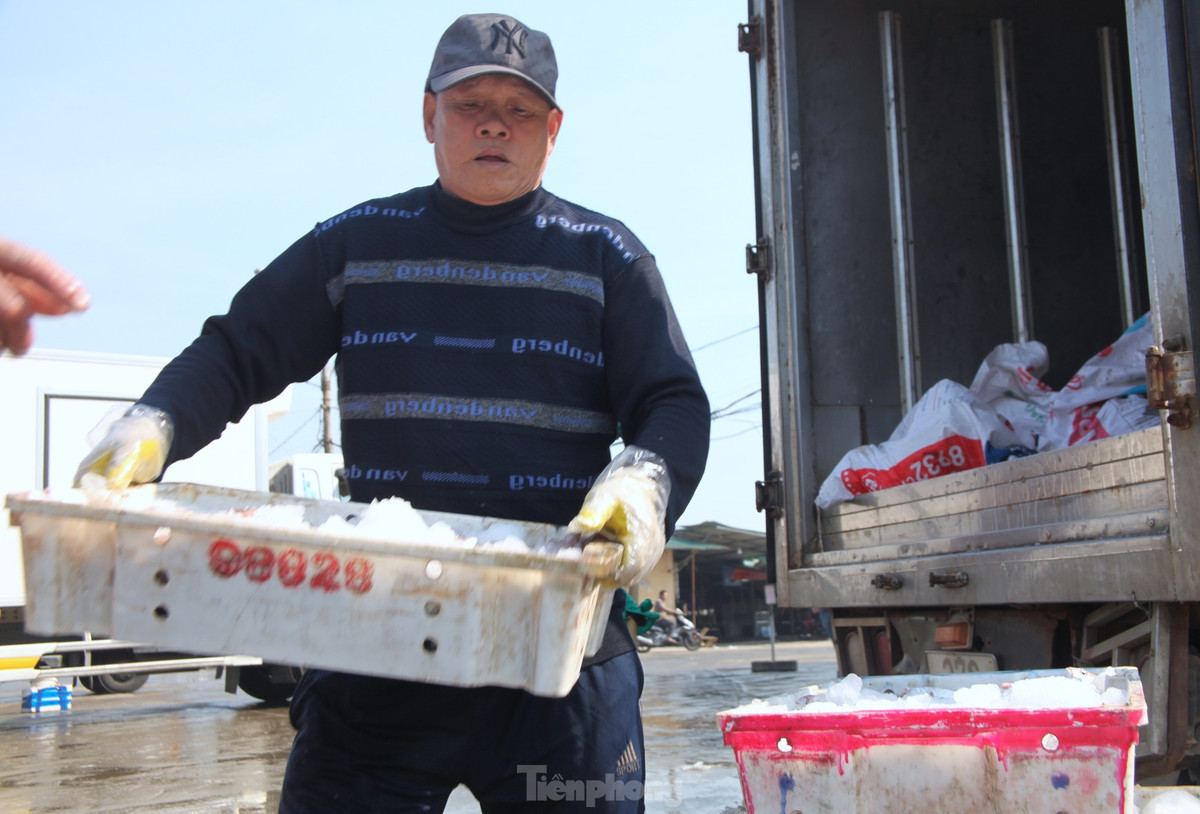 "Công việc tuy vất vả nhưng cho thu nhập ổn định. Trừ những lúc mưa gió tàu thuyền không ra khơi còn lại ngày nào tôi cũng ra bến làm từ 4h sáng đến 7h sáng hàng ngày. Mỗi sáng kiếm được 100-200 nghìn đồng, tùy lúc nhiều hàng hay ít", ông Lam (trú thị xã Cửa Lò) chia sẻ.