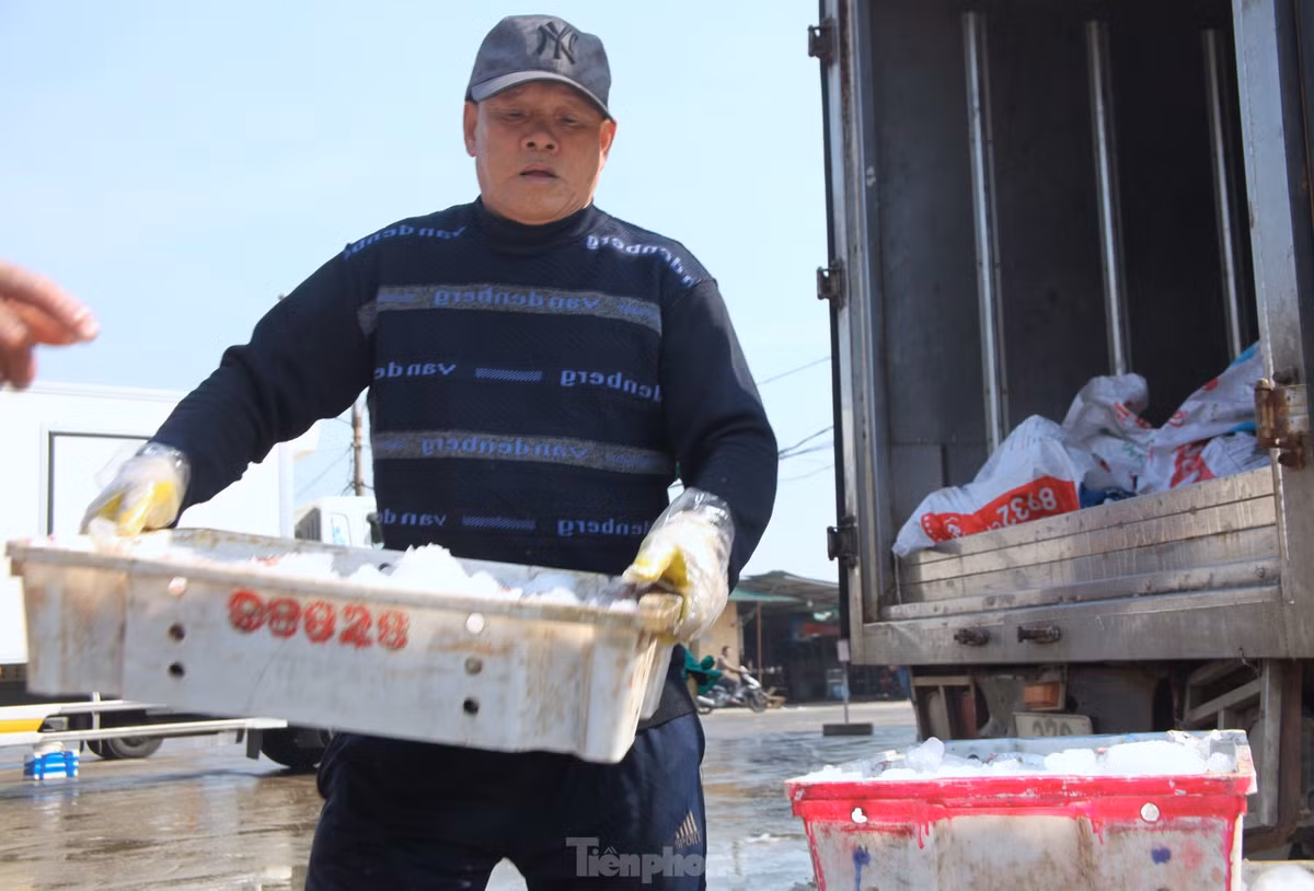"Công việc tuy vất vả nhưng cho thu nhập ổn định. Trừ những lúc mưa gió tàu thuyền không ra khơi còn lại ngày nào tôi cũng ra bến làm từ 4h sáng đến 7h sáng hàng ngày. Mỗi sáng kiếm được 100-200 nghìn đồng, tùy lúc nhiều hàng hay ít", ông Lam (trú thị xã Cửa Lò) chia sẻ.