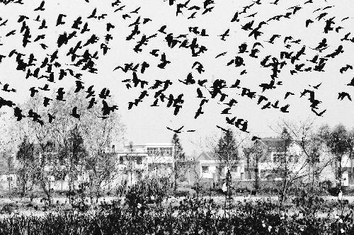 Hien tuong la xuat hien dung ngay Tu Hi Thai hau chao doi