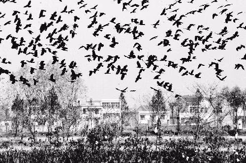 Hien tuong la xuat hien dung ngay Tu Hi Thai hau chao doi