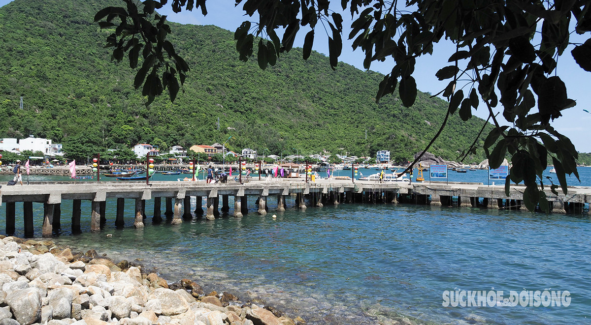 Hoạt động thường nhật của người dân tại bến cảng.