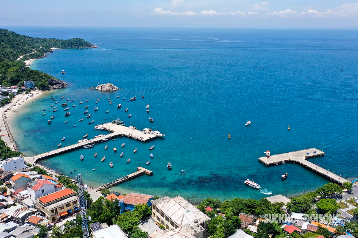 Bên cạnh đó, đảo Cù Lao Chàm còn sở hữu hệ động thực vật phong phú, rặng san hô đa dạng, quý hiếm. Cù Lao Chàm đã được UNESCO công nhận là khu dự trữ sinh quyển thế giới, được nhiều biết tới và tìm đến khám phá.