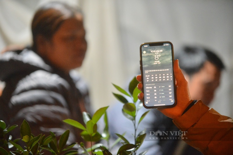 Lanh 8 do C thau da thit, tieu thuong trang dem canh dao, quat-Hinh-5