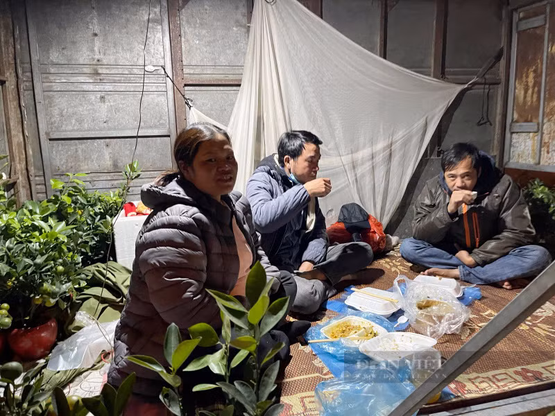 Lạnh 8 độ C thấu da thịt, tiểu thương trắng đêm canh đào, quất - Hình 7 Lanh 8 do C thau da thit, tieu thuong trang dem canh dao, quat-Hinh-7