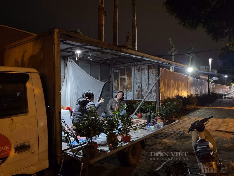 Lạnh 8 độ C thấu da thịt, tiểu thương trắng đêm canh đào, quất - Hình 8 Lanh 8 do C thau da thit, tieu thuong trang dem canh dao, quat-Hinh-8