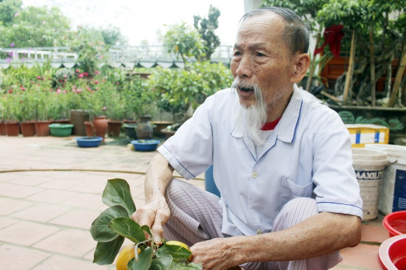 Loại quả đặc sản tiến Vua đất Phú Thọ Loai qua dac san tien Vua dat Phu Tho