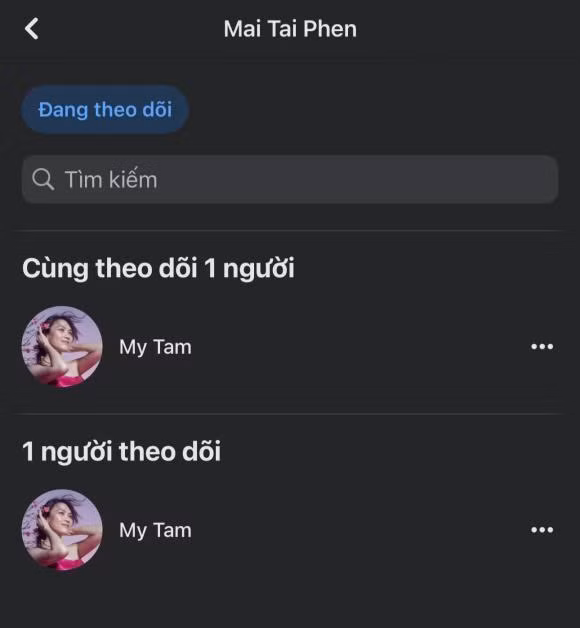 Mai Tai Phen bi phat hien gia nhap hoi 