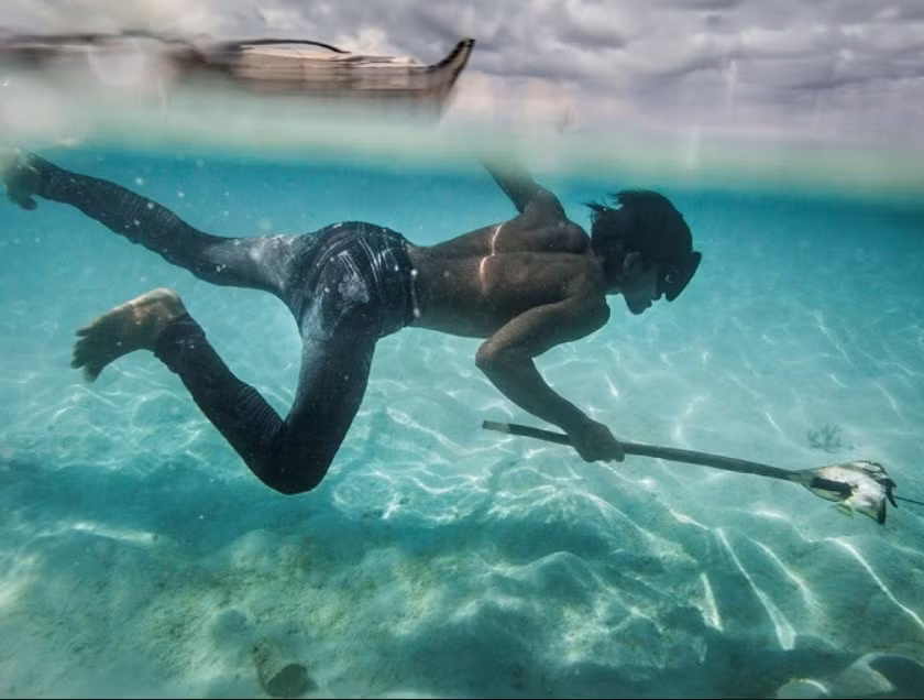 Bo toc ky la o Dong Nam A, danh 60% thoi gian duoi nuoc-Hinh-2