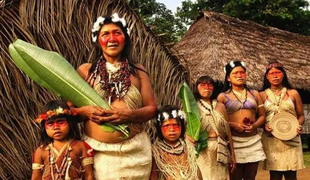 Bo toc co dan ong sa doa nhat, chi 