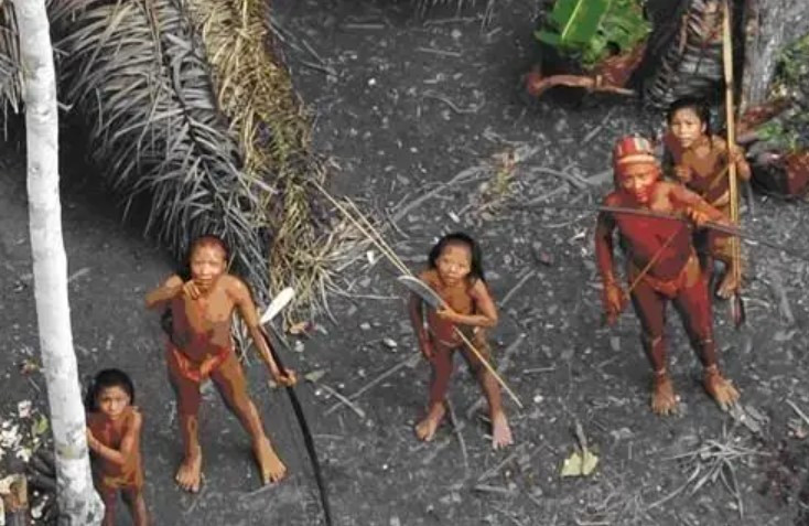 Bo toc co dan ong sa doa nhat, chi 