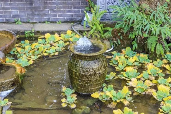 Dip Tet nen chu y '5 khong trong', 5 thu nay nghia la gi?