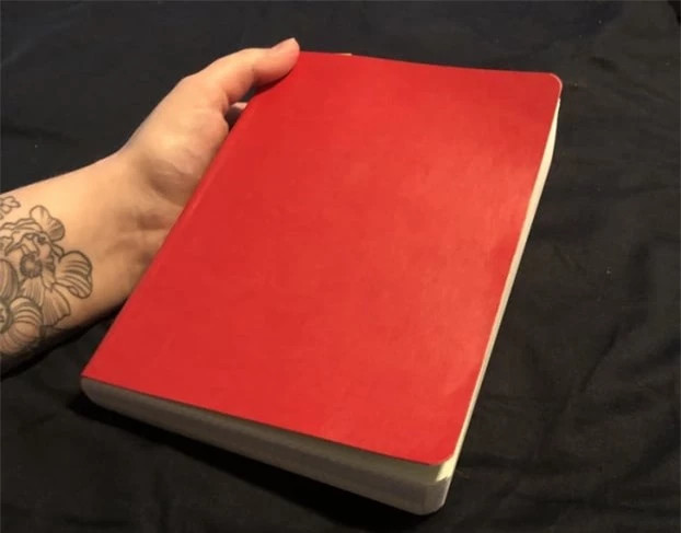 Màu đỏ: Màu đỏ là màu của quyền lực, đam mê và năng lượng. Nó tạo động lực và truyền năng lượng cho bạn với những hành động tức thời và thậm chí có thể gây cảm giác không thoải mái cho người hướng nội hoặc những tình huống cần sự yên bình, thanh tĩnh.