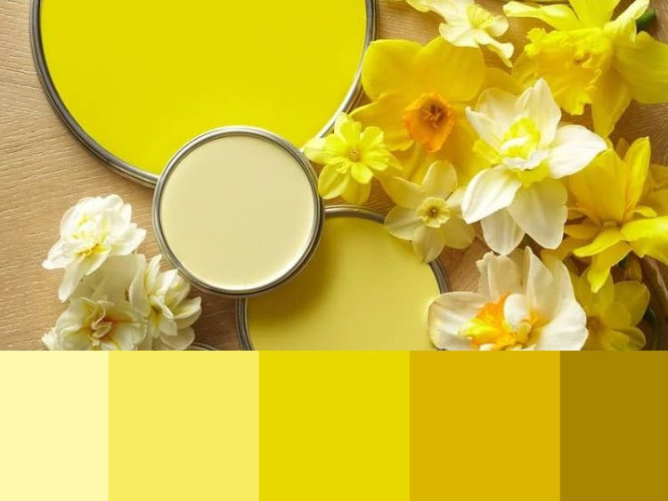  Đó là bởi vì màu vàng có thể thu hút sự chú ý tức thì và khiến bạn tập trung vào thông tin. Do đó, đây là một màu hoàn hảo khi bạn thuyết trình hoặc cần truyền tải một thông điệp khẩn cấp.